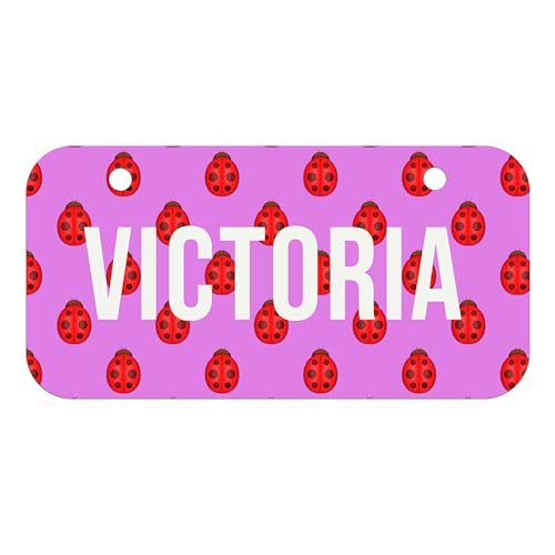 Personalized Stroller Name Tag with Ladybug Design