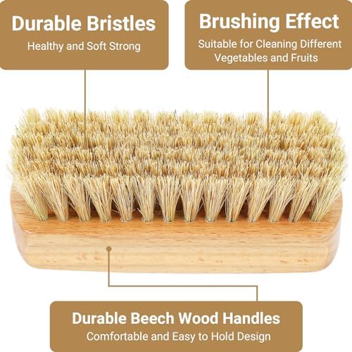 SEPGLITTER Veggie Wash Brush Set for Fruits and Vegetables