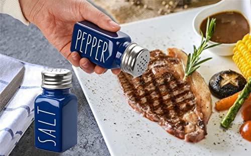 VICUKIE Farmhouse Salt Pepper Shakers Set in Blue