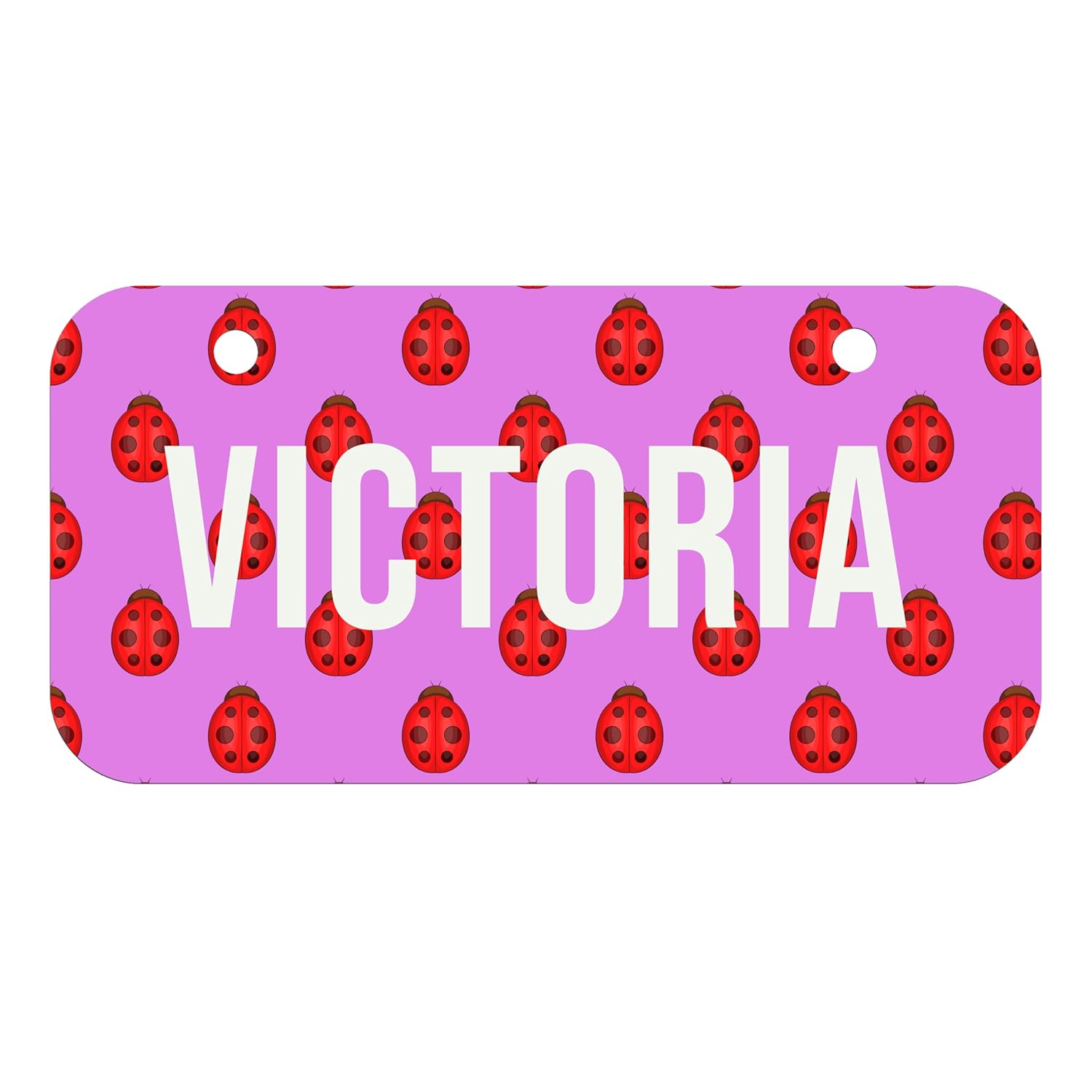 Personalized Stroller Name Tag with Ladybug Design